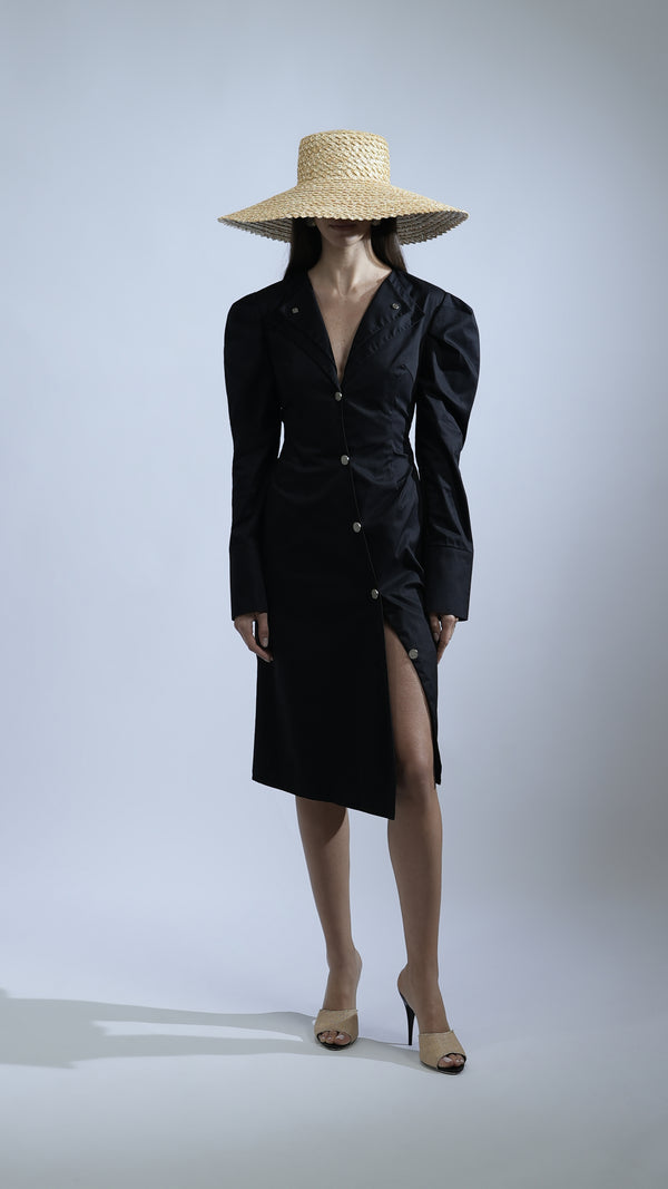 AVA DOUBLE COLLAR DRESS